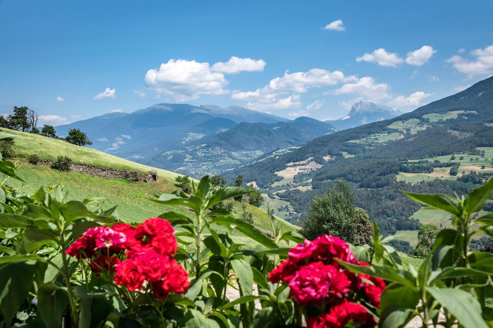 Hauserhof Chalet In Villanders - Moderne Wohnungen Mit 2 Badezimmer Und 2 Schlafzimmer المظهر الخارجي الصورة